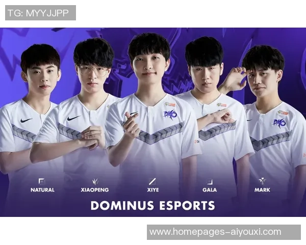 RNG战队在比赛中的数据分析与经验总结探讨 RNG战队在比赛中的数据分析与经验总结探讨