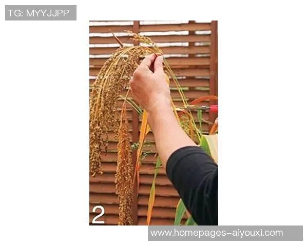 北京极限运动队反击之路:挑战与收获的深度剖析 北京极限运动队反击之路:挑战与收获的深度剖析